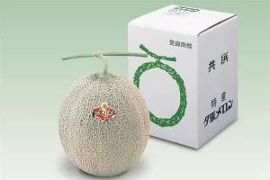 Melones japoneses que son un lujo